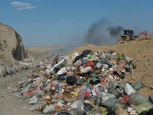 Деньги на мусорку