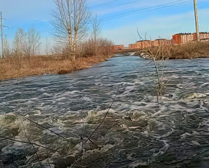 Уже тревожно