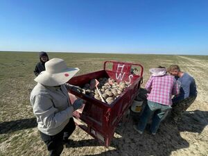 Медленно, но верно