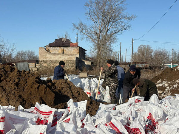 Лягушек вёдрами выносили…