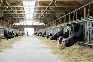 Никакая зараза не проскочит