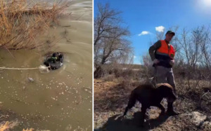 Ушёл играть и не вернулся