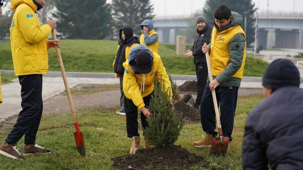 И даже пень в весенний день…