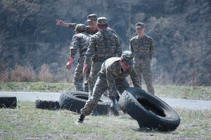 Патриотизм по расписанию?