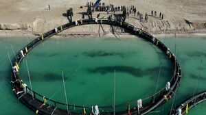 Промысел без особых границ