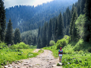 А сам не плошай