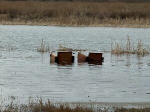 Вторая волна