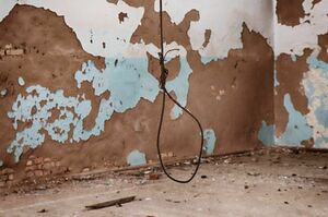 Не дали замолчать