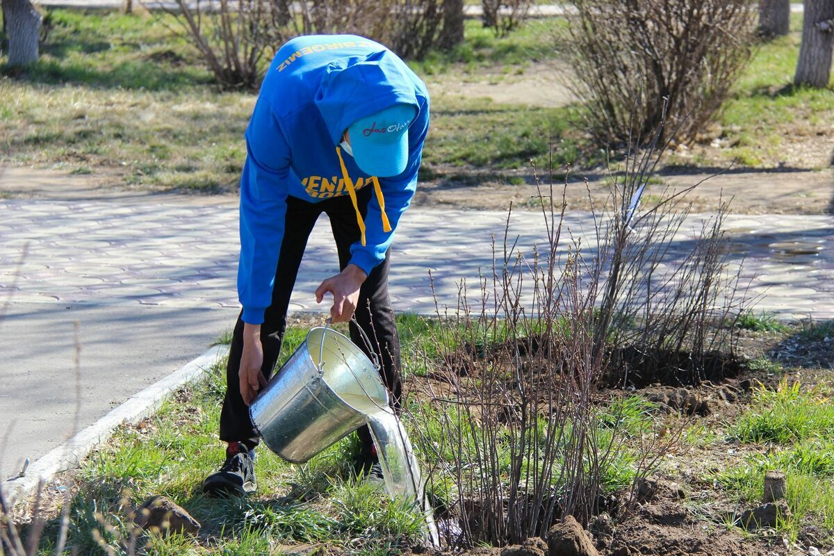 Профанация чистой воды