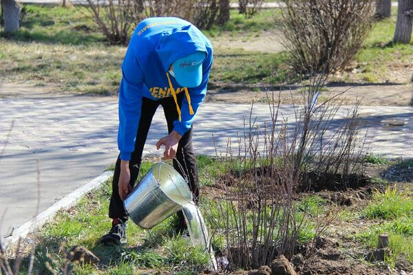 Профанация чистой воды
