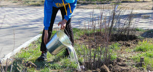 Профанация чистой воды