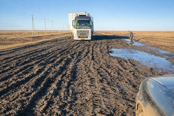 Не в ту степь