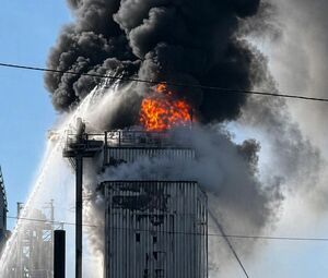 Это уже не семечки