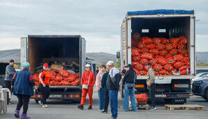 Жажда наживы