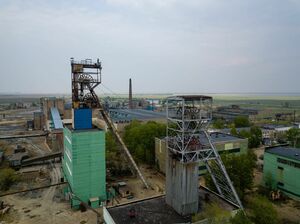 Чудом выжил