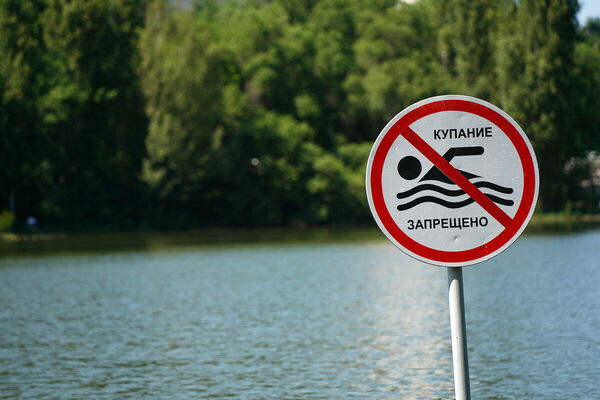 Смотреть, но не нырять