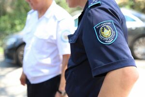 Шины, две телеги дров