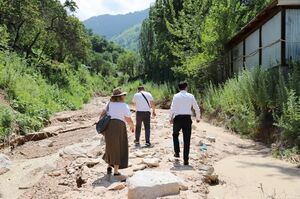 Токсичность зашкаливает