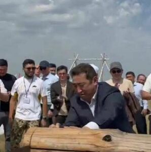Истина - в бревне!