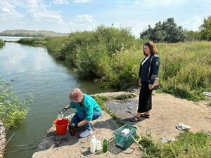 Рыбёшка всплыла кверху брюхом