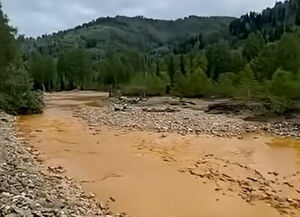 Оранжевый поток