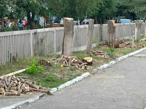 Арифметика с топором