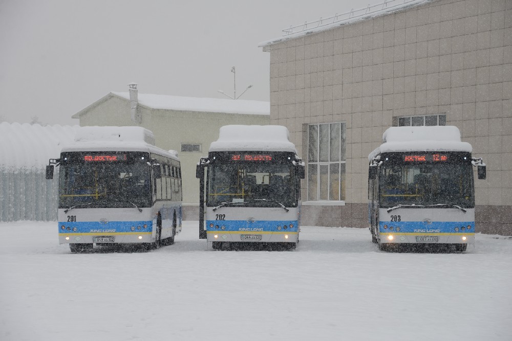 3 автобус астана. Автобусный парк Алматы. Автобусный парк 1 Астана. 3 Автобусный парк хрустальная 22. Автобусный парк Петропавловск-Камчатский.