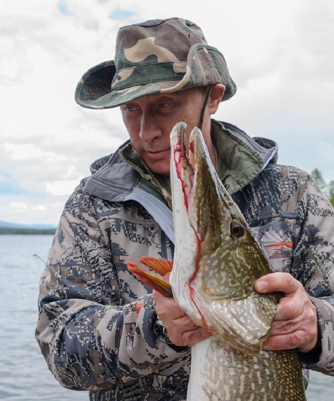 В. В. ПУТИН и щука...