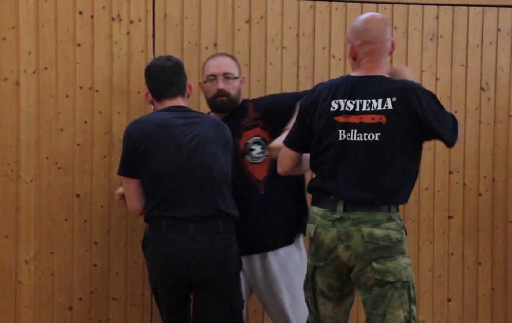 По версии журналистов, через “Систему” школ единоборств в ФРГ российские “диверсанты” поддерживают движение Pegida, а также других популистов правого и левого толка.