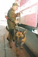 Китайская грамота