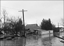 Сухой закон на мокром месте