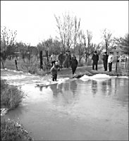 Потоп под контролем 