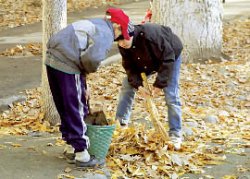 Отложите веники, сядьте за учебники
