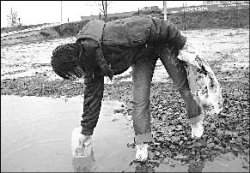 На сухом пайке