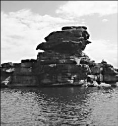 Застолбили поляну