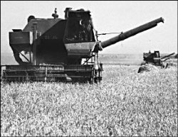 Кормушка закрылась