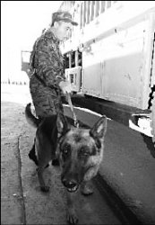 Кому на таможне жить хорошо