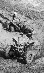 Грязевые ванны для “квадриков”