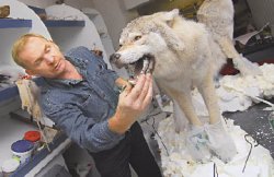 Чучело благородное