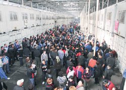 Торг здесь неуместен!