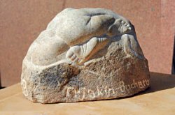 Свинский период Трякина-Бухарова