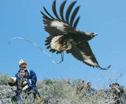Ты мне друг или добыча?