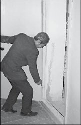 Термиты победили всех