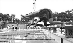 Плывем по течению!