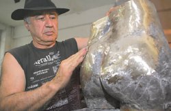 Я солнцем не торгую