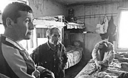 Рабочее бессилье