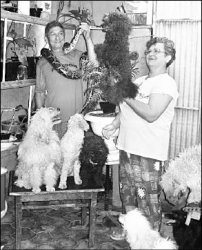 Цирк никому не нужен