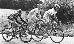 Николай ПРОСКУРИН, вице-президент Федерации велоспорта РК: ПРЮДОМ - РАСИСТ!