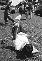 Берегись, автомобиль!