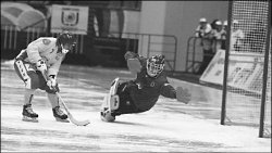 Гани КАСЫМОВ, сенатор: Такой хоккей нам нужен!